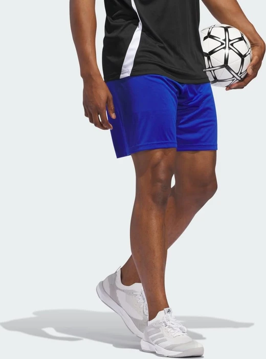 adidas Fortore 23 Shorts royal blue/white (Herren)