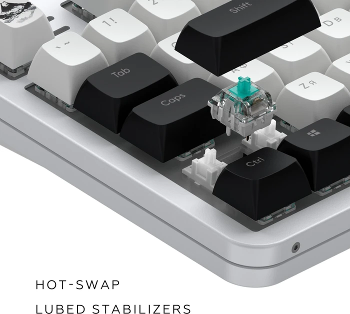 Dark Project ALU87 Fuji II Gaming Keyboard, weiß/schwarz, LEDs RGB, g3ms Sapphire, USB, UA/US