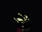 Hama uRage Reaper nxt. Gaming Mouse, USB Vorschaubild