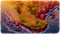 Doraemon: Story of Seasons (Download) (PC) Vorschaubild