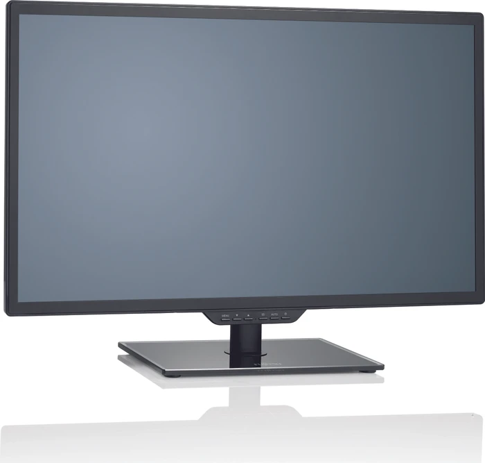 Fujitsu L-Line L24T-2 LED, 23.6"