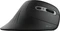 Trust Verro Wireless, USB Vorschaubild