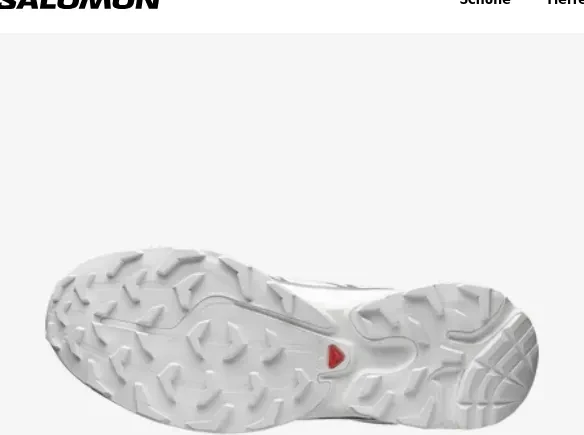 Salomon XT-6 GTX white/ftw silver