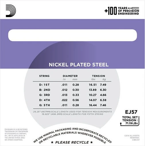 D'Addario 5-String Banjo Nickel Custom Medium