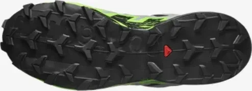 Salomon Speedcross 6 GTX black/alloy/green gecko (Herren)