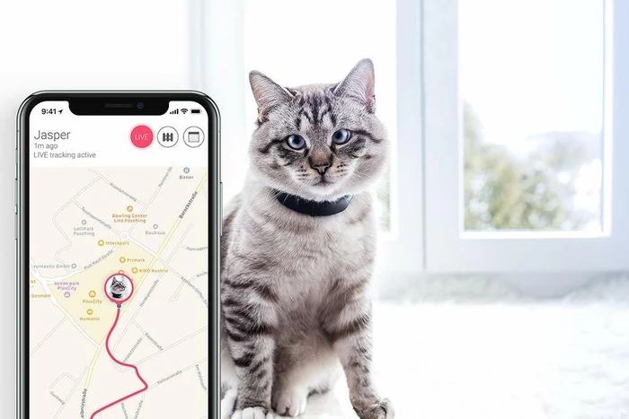 Tractive GPS Tracker-Halsband für Katzen, grau