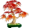 LEGO Botanicals - Japanischer Roter Ahorn Bonsai-Baum Vorschaubild