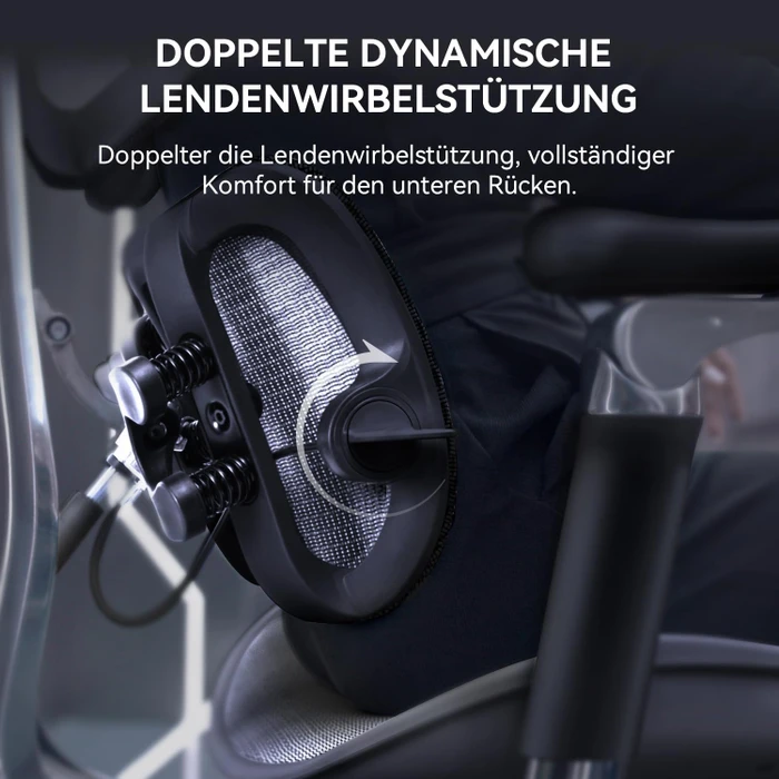 Sihoo Doro C300 Ergonomischer Bürostuhl, schwarz
