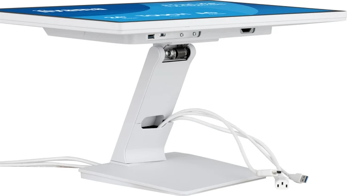 iiyama ProLite T2452MSC-W2AG, 23.8"
