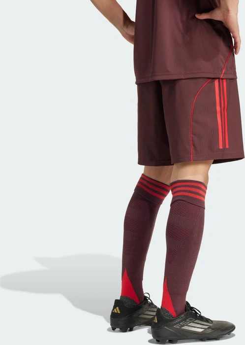 adidas Tiro 25 Competition Match Hose kurz aurora ruby/brown (Herren)
