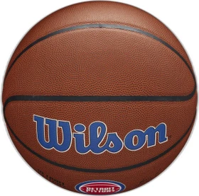 Wilson NBA Team Alliance Detroit Pistons Basketball