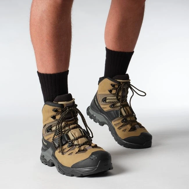 Salomon Quest 4 Gore-Tex kelp/black/castlerock (Herren)
