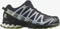 Salomon XA Pro 3D V8 GTX black/green moss/zen blue (Damen) Vorschaubild