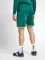 hummel Authentic Poly Short Hose kurz evergreen (Herren) Vorschaubild