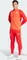 adidas FC Bayern München Tiro 23 Trainingshose lang red/bright red/white (Herren) Vorschaubild