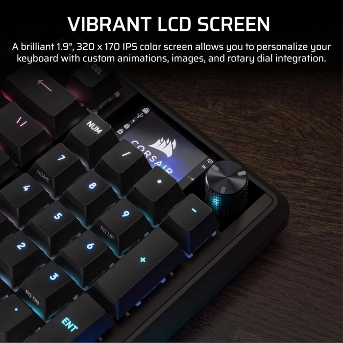 Corsair Vanguard 96, schwarz, LEDs RGB, MLX Plasma, USB, DE