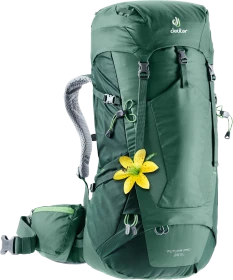 Deuter Futura Pro 38 SL seagreen/forest (Damen)