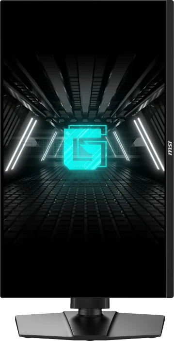 MSI G255PFDE E2, 24.5"