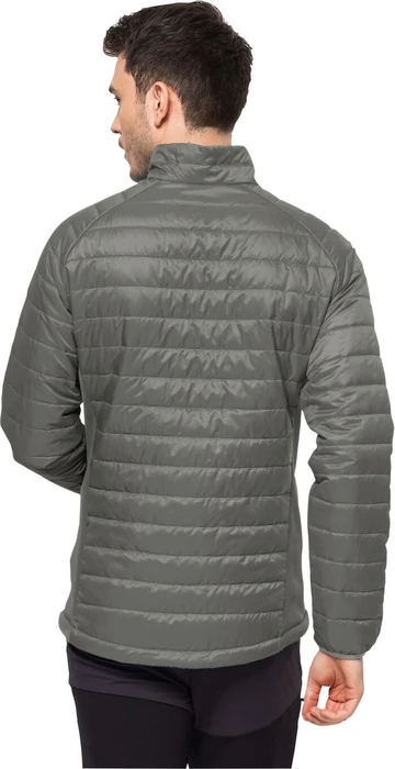 Jack Wolfskin Routeburn Pro Ins Funktionsjacke gecko green (Herren)