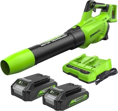 Greenworks Tools GD24X2ABK2X Akku-Laubbläser inkl. 2 Akkus 2.0Ah