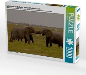 Calvendo Spielstunde der Elefanten in freier Wildbahn. Kenia