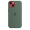 Apple Silikon Case mit MagSafe für iPhone 13 Eukalyptus Vorschaubild