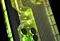 EK Water Blocks Quantum Line EK-Quantum Reflection² Fractal XL D5 PWM D-RGB, Verteilerplatte mit Pumpe, Acryl Vorschaubild