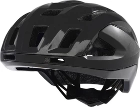 Oakley ARO3 Endurance MIPS Helm polished/matte black reflective