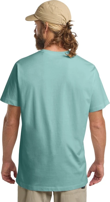Jack Wolfskin Essential T-Shirt kurzarm soft jade (Herren)