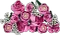 LEGO Botanicals - Rosa Rosenstrauß Vorschaubild