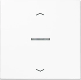 Jung Serie LS eNet Taster Standard 1fach Duroplast mit Pfeilsymbol, alpinweiß