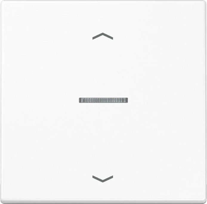 Jung Serie LS eNet Taster Standard 1fach Duroplast mit Pfeilsymbol, alpinweiß