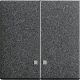 Gira System 55 Wippe 2fach, anthrazit