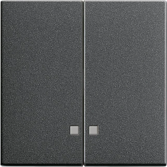 Gira System 55 Wippe 2fach, anthrazit