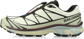 Salomon XT-6 GTX aspargus green/tea/bitter chocolate