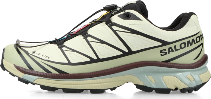 Salomon XT-6 GTX aspargus green/tea/bitter chocolate