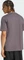 adidas Trefoil Essentials T-Shirt kurzarm grey strata (Herren) Vorschaubild