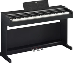 Yamaha Arius YDP-145 schwarz