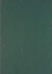 Clairefontaine Text & Cover ledergeprägt Universalpapier jägergrün, A4, 240g/m², 100 Blatt