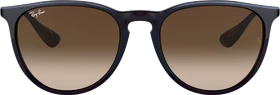 Ray-Ban RB4171 Erika Classic 54mm brown-silver/brown gradient