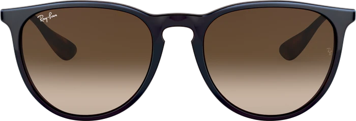 Ray-Ban RB4171 Erika Classic 54mm brown-silver/brown gradient