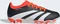adidas Predator 24 League Low MG core black/cloud white/solar red (Junior) Vorschaubild