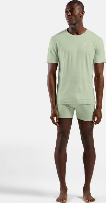 Odlo Natural Merino 160 Baselayer Funktionsshirt kurzarm ambrosia (Herren)