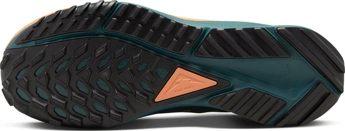 Nike React Pegasus Trail 4 Gore-Tex alligator/mint foam/canyon rust/orange trance (Damen)