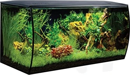 Fluval Flex 123 Aquarium schwarz,