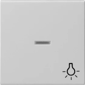 Gira System 55 Wippe mit Kontrollfenster und Symbol Licht, grau matt