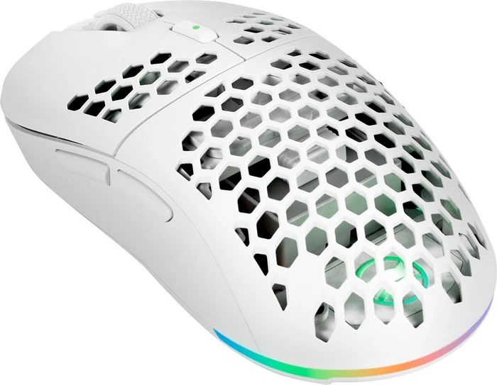Gamiac PX71 Wireless RGB Gaming Maus schwarz, USB