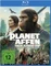 Planet der Affen: New Kingdom Vorschaubild