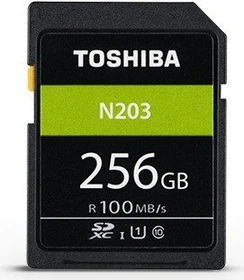 Toshiba High Speed N203 R100 256GB, UHS-I U1, Class 10
