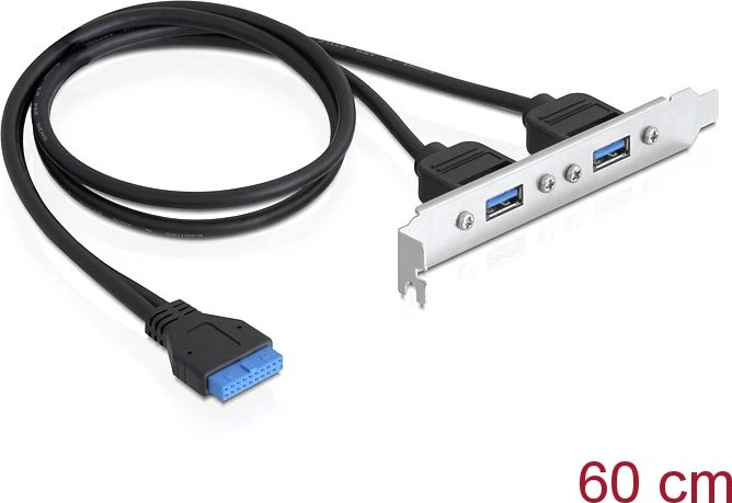 DeLOCK Slotblende, 2x USB-A 3.0